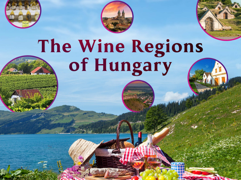 Wine Regions in Hungary