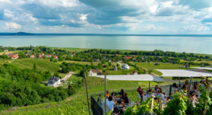 Wine Regions in Hungary