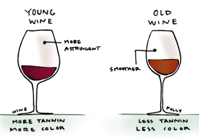 The Secrets of Red Wine