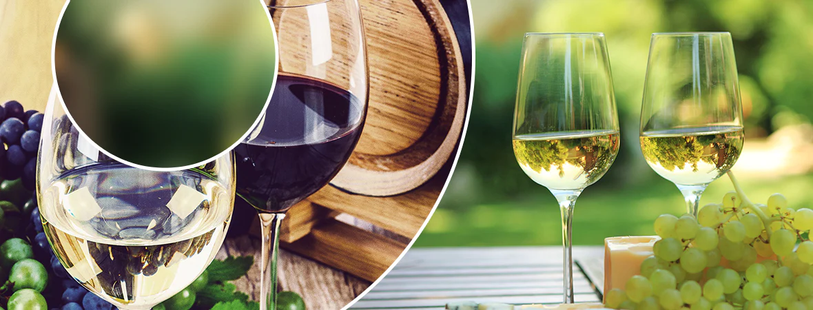 Wine Appreciation: Tasting and Enjoying Fine Wines
