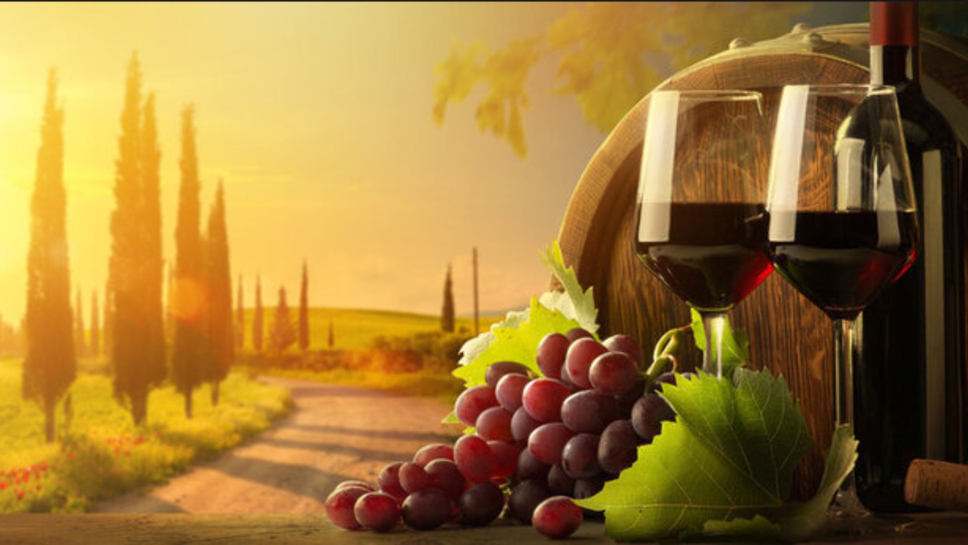 Serving Wine: Ideal Temperature Unveiled