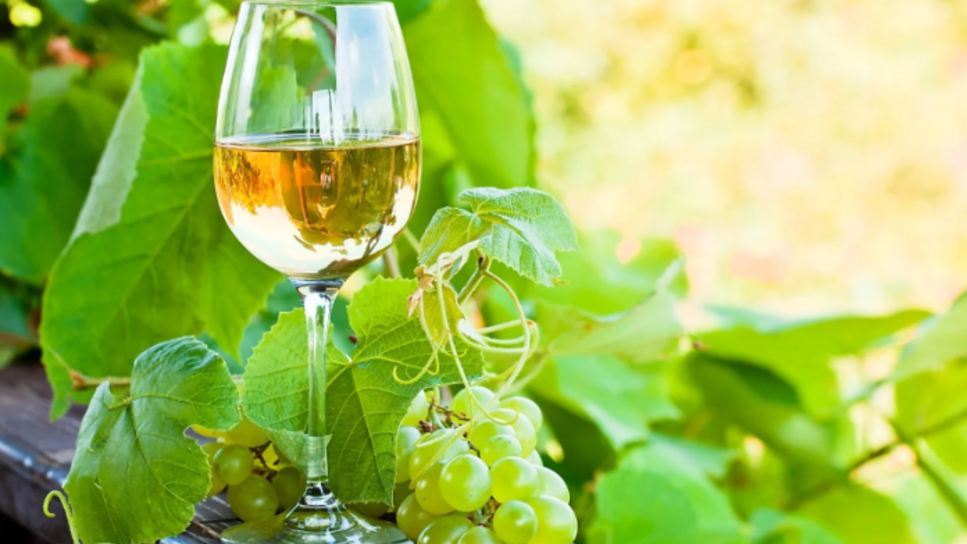 image of white wine grapes 