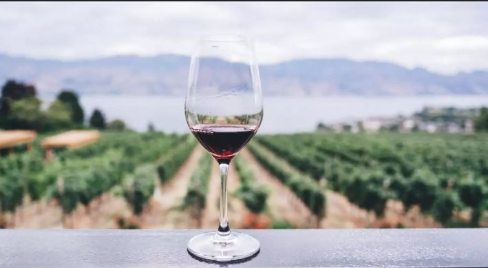 Wine and Wellness: Does it Measure Up?